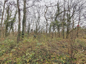 Thumb_aYm9pcw_20230107162859_73138